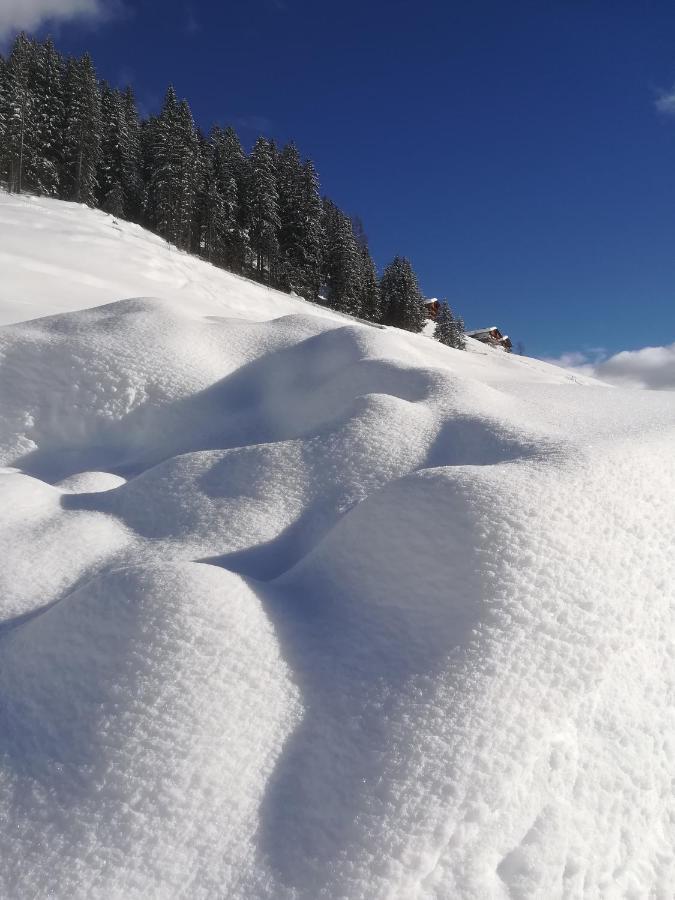 Ausserwalderhof Innervillgraten Εξωτερικό φωτογραφία